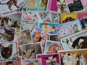 画像1: フランスアンティーク　猫　切手　50枚　